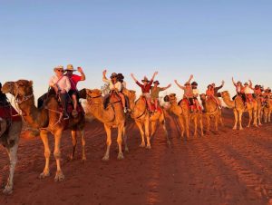 A unique camel ride at sunset experience at Uluru