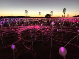 Bruce Munro Field of Lights at Uluru